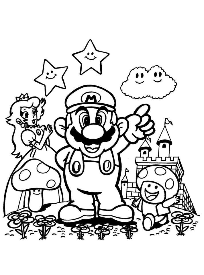 Mario Bros online puzzel