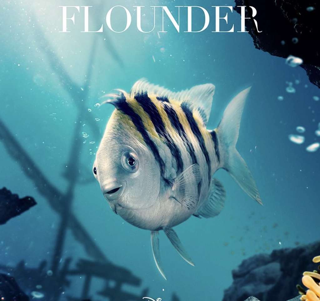 Flounderr puzzle online