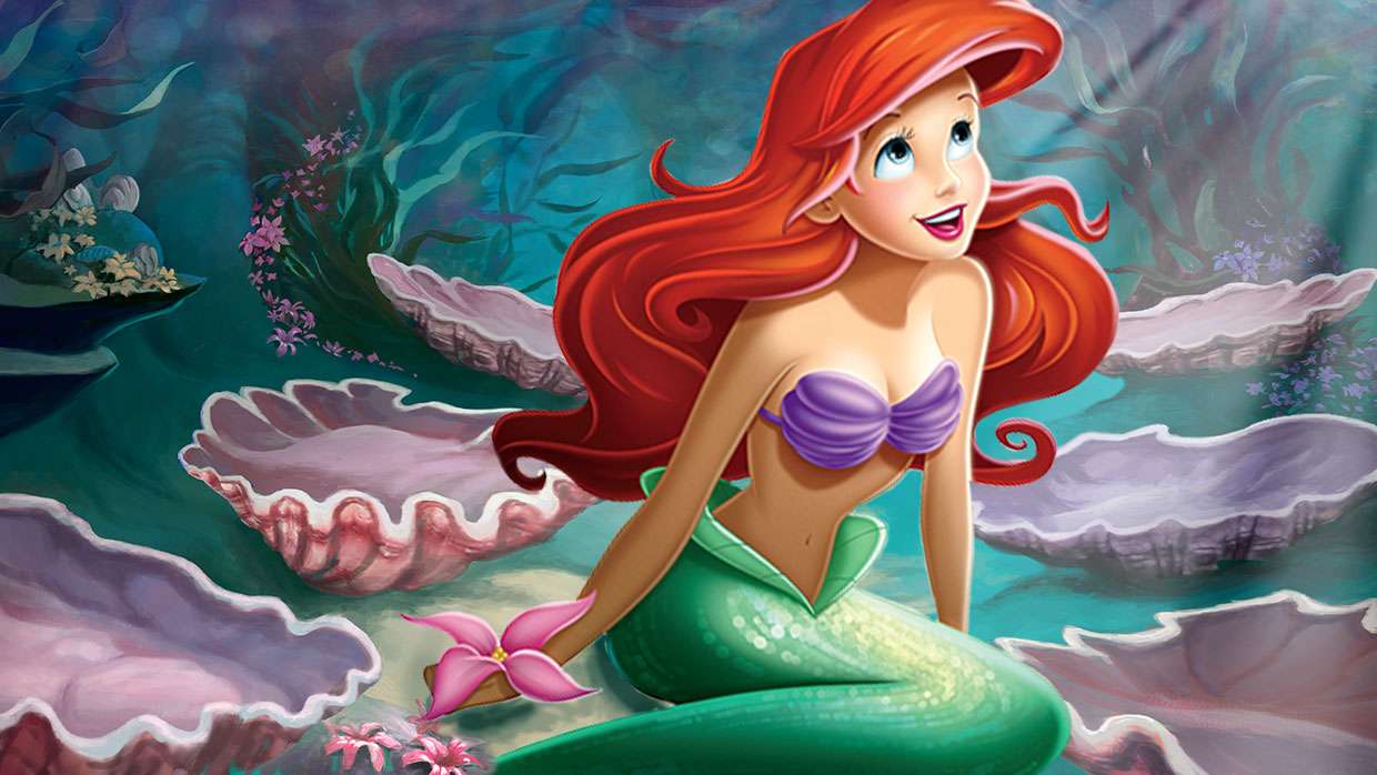 Ariel alleen in haar eentje 1 puzzel online van foto