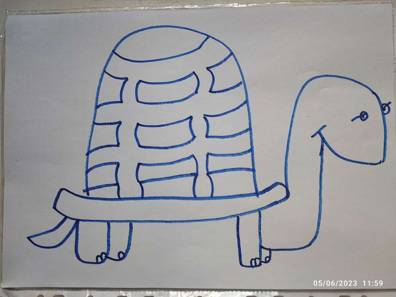 teknősbéka puzzle online fotóról