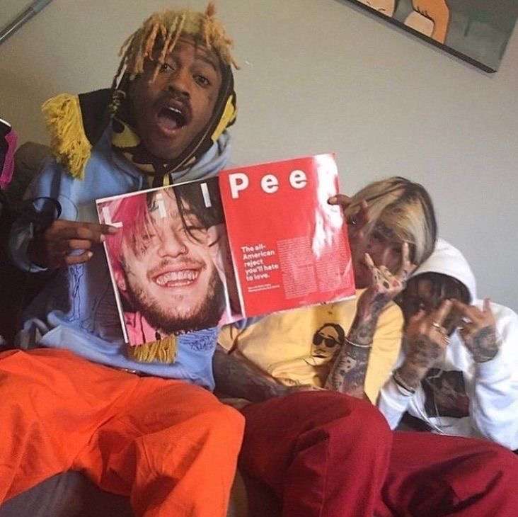 peep n tracy puzzle online from photo