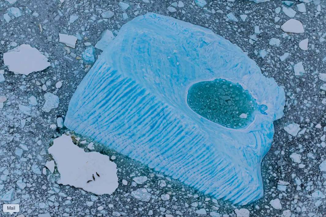 Antarktiszi jéghegy és fókák a Floe-n online puzzle