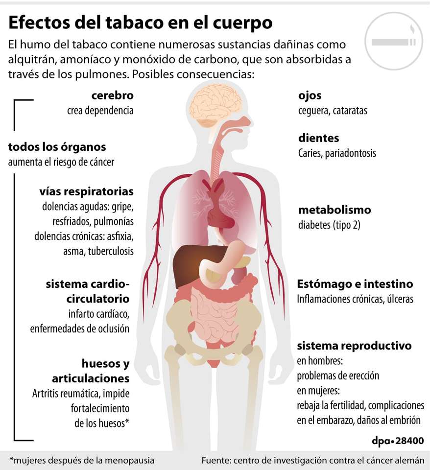 タバコが身体に及ぼす影響 オンラインパズル