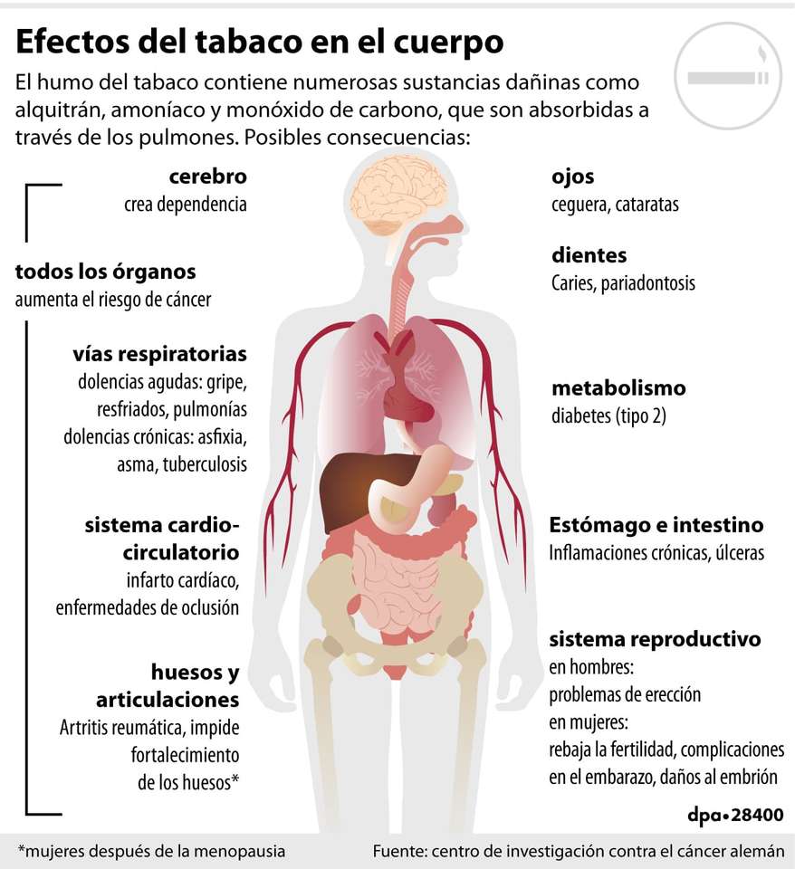 Efeitos do tabaco no corpo puzzle online