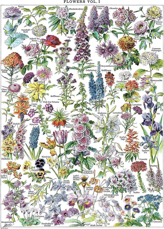 Quebra-cabeça de flores puzzle online