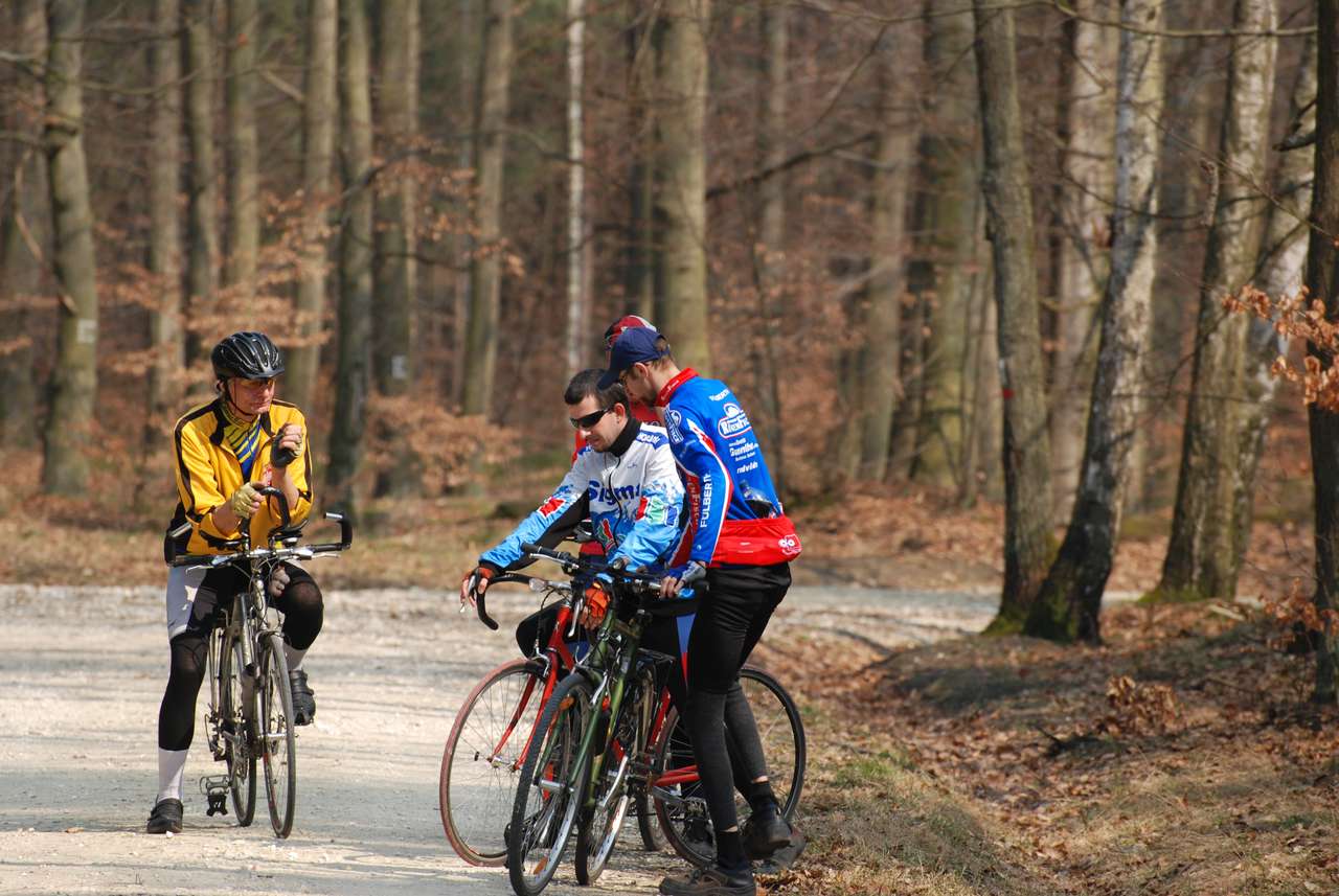 ciclistas en el bosque rompecabezas en línea