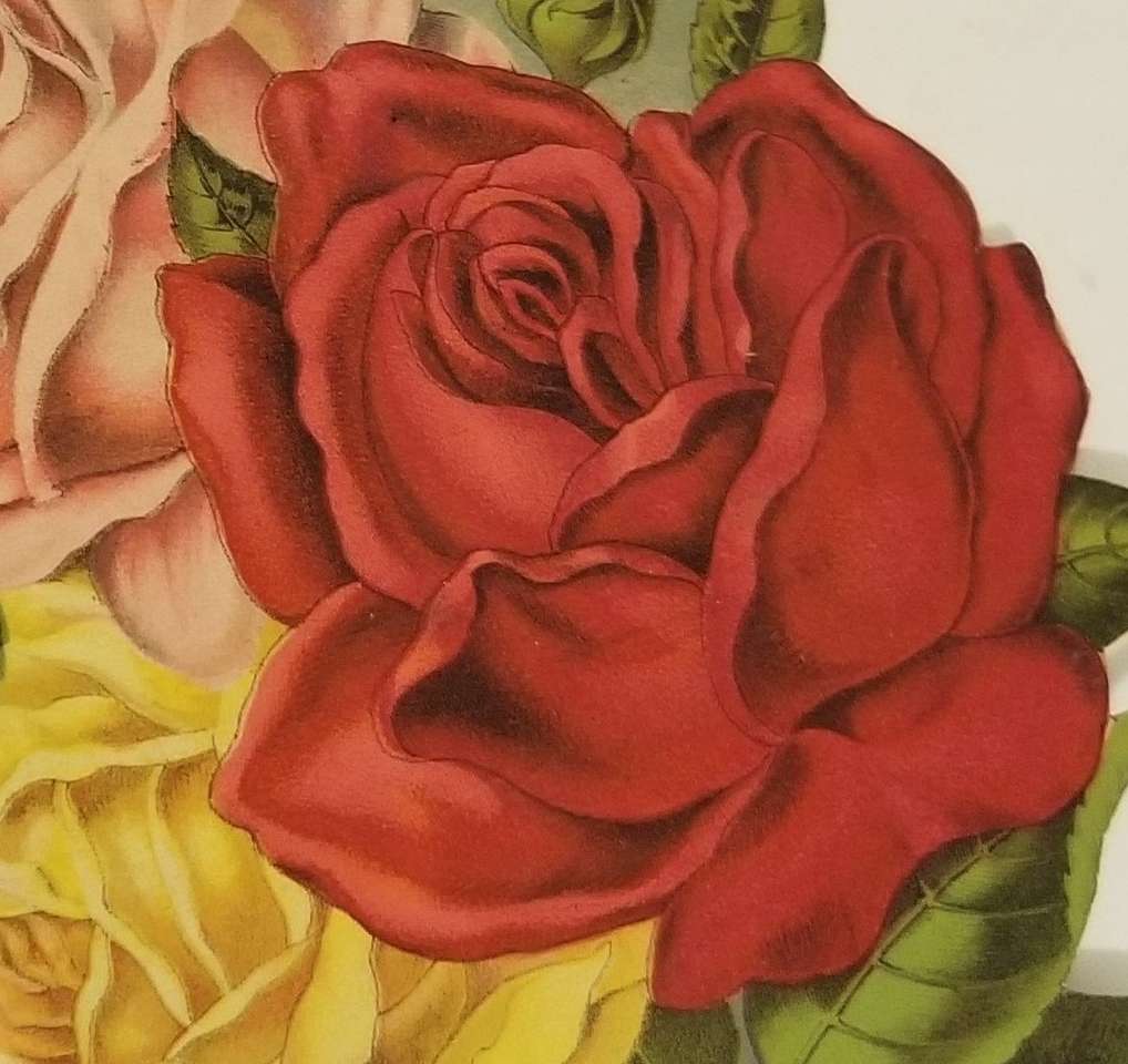 detaliu de trandafir antic puzzle online din fotografie