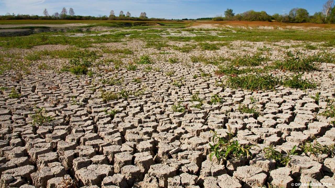 Szárazság/a talaj termékenységének elvesztése puzzle online fotóról