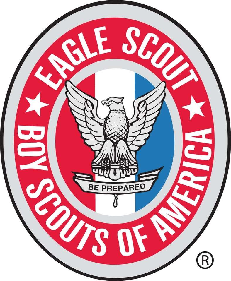 Eagle Rank puzzle online from photo
