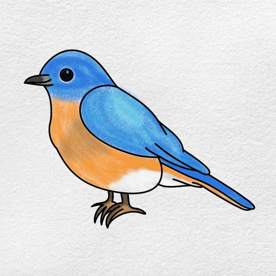 рисунки на птици онлайн пъзел от снимка
