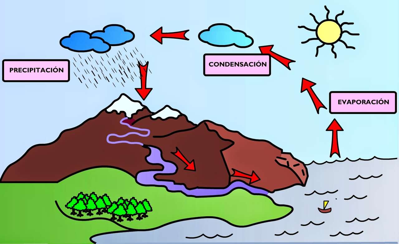 water cycle puzzle online from photo