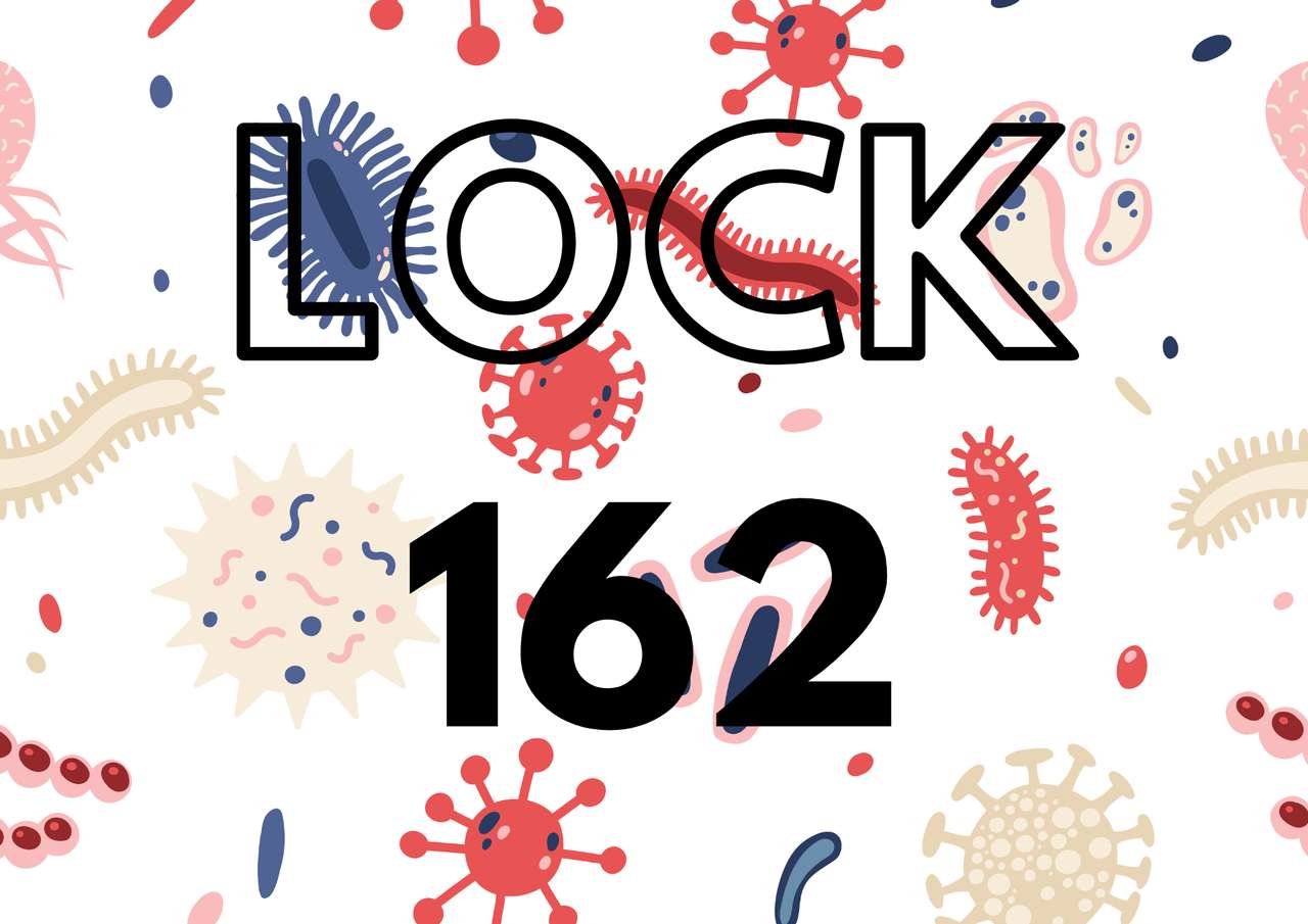 LOCK 162 online puzzle