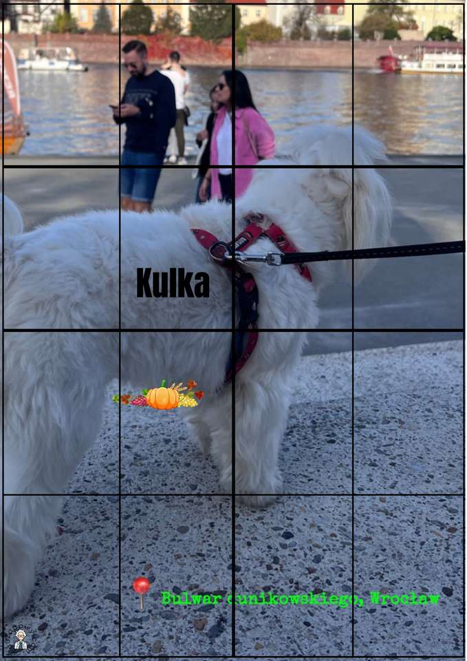 kulkae32e puzzle online from photo