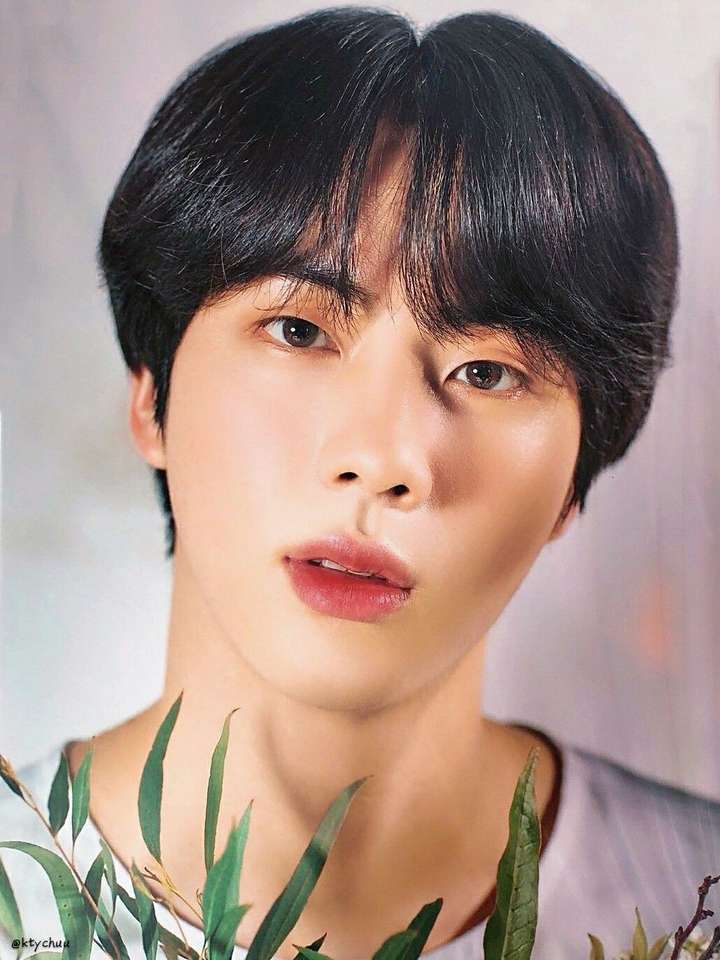 kim seokjin puzzle online a partir de foto