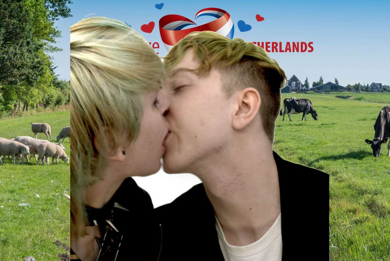 Kissing in the meadow puzzle online from photo