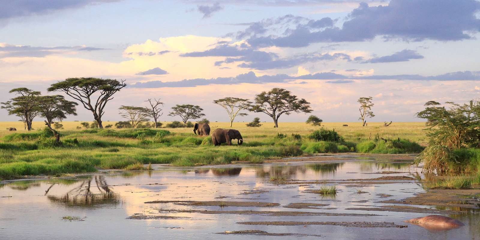 Odpoledne v Serengeti online puzzle
