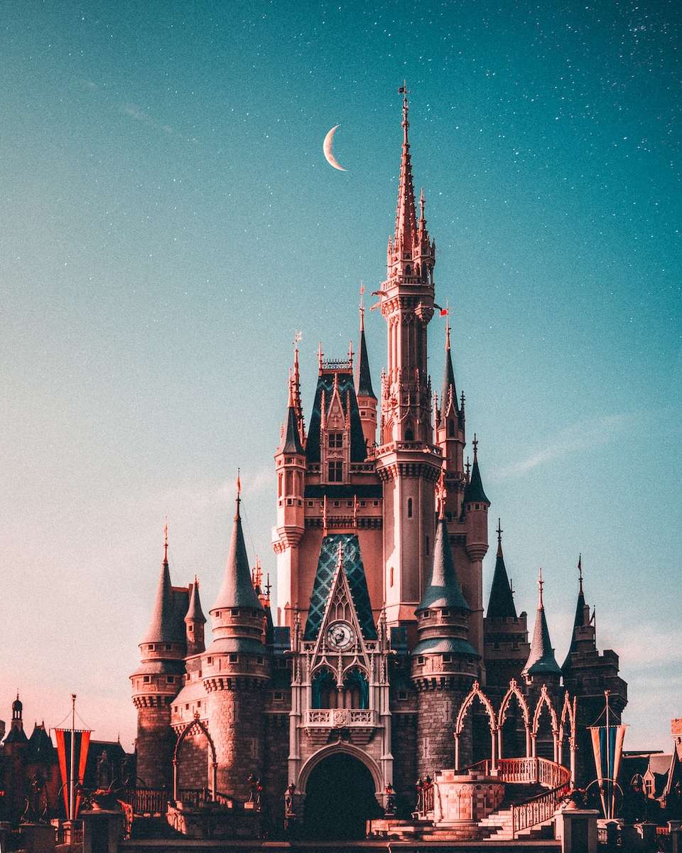 Disney castle puzzle online from photo