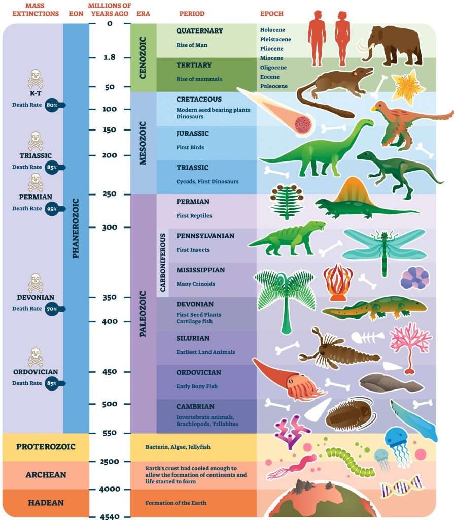 Escala de tiempo geológico rompecabezas en línea