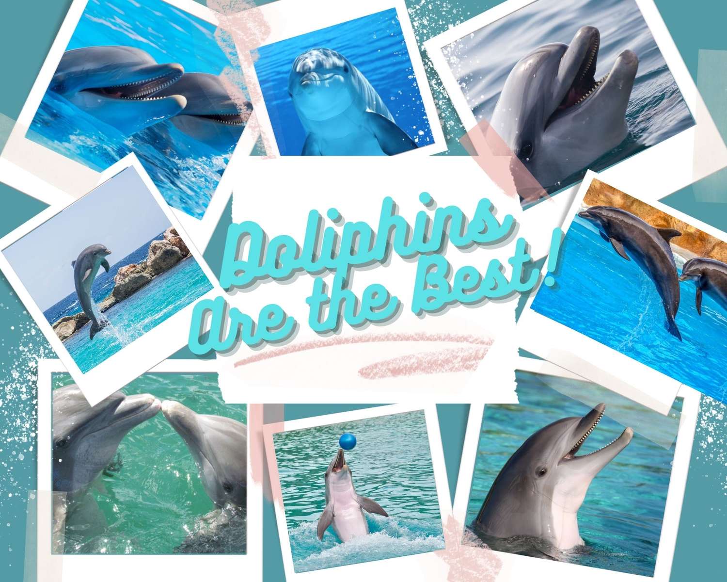 Делфини онлайн пъзел от снимка