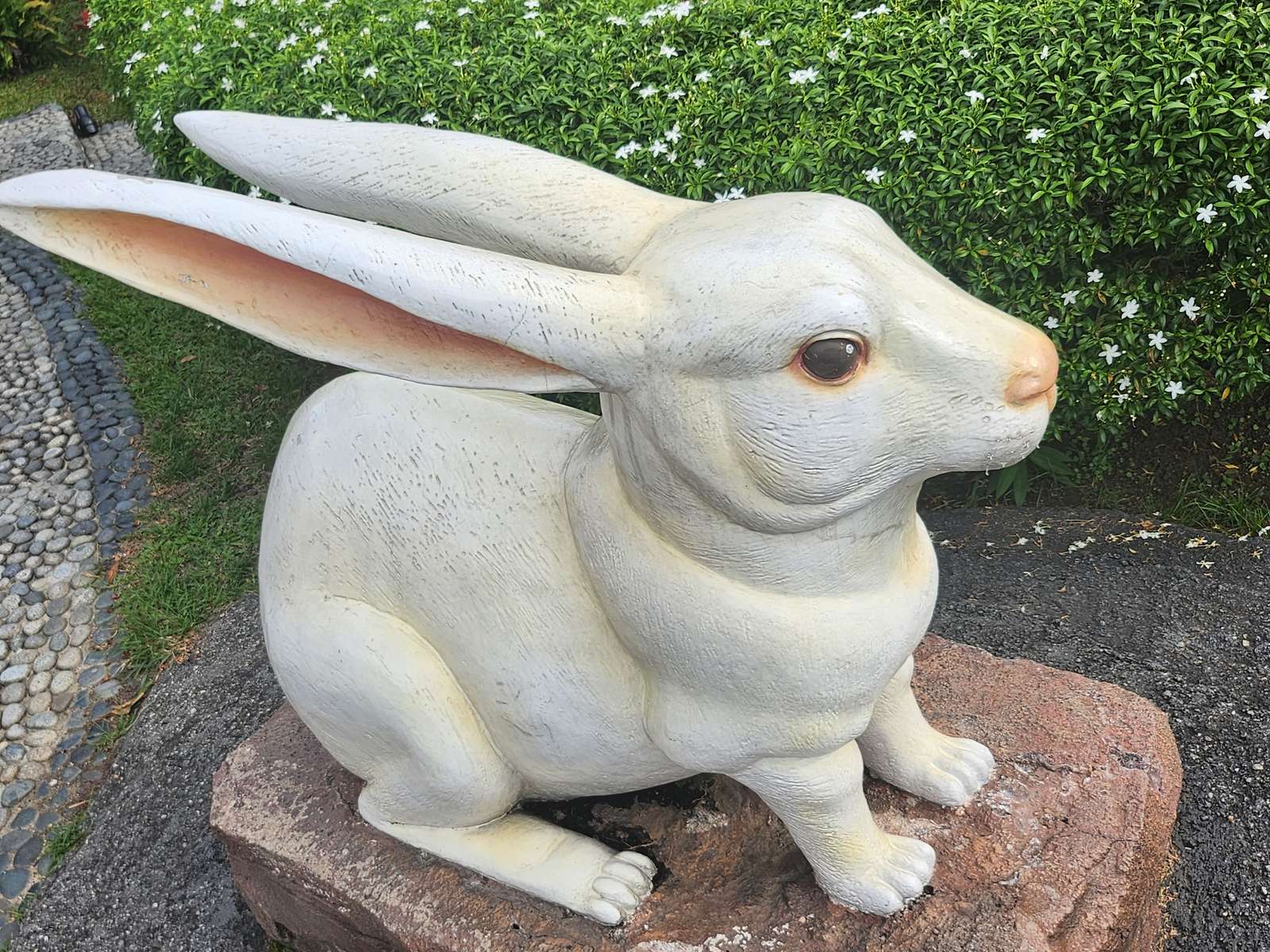 Тестовий кролик скласти пазл онлайн з фото