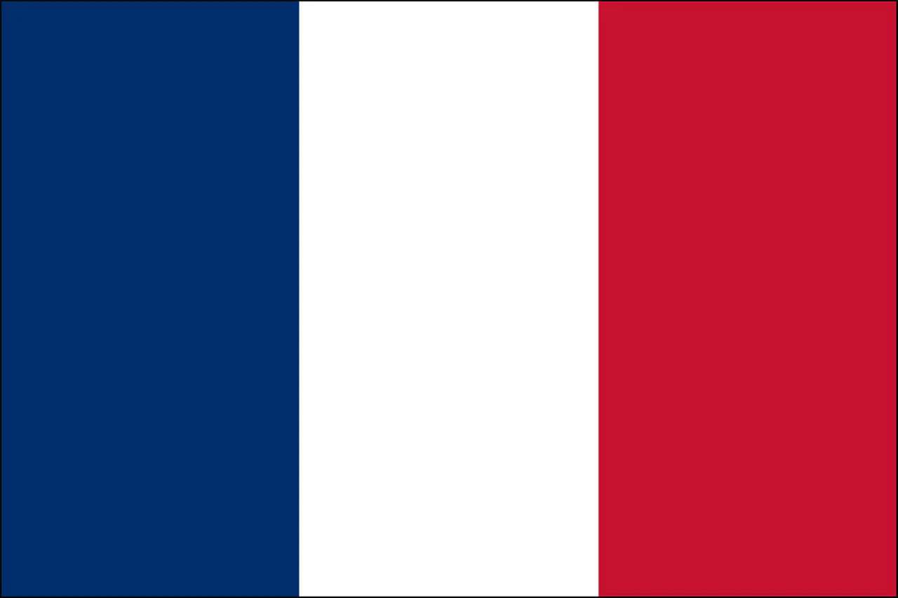 Fransk flag online puzzle