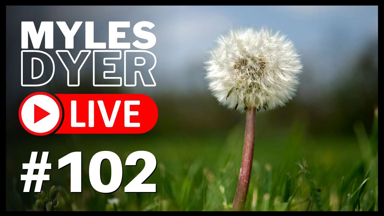 MYLES DYER LIVE - PUZZLE 102 Online-Puzzle vom Foto