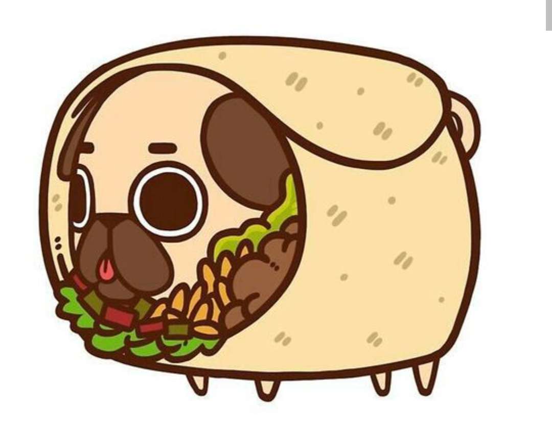 dog in a taco puzzle online from photo