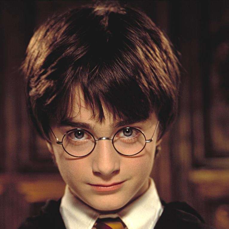 Harry Potter puzzle online a partir de fotografia