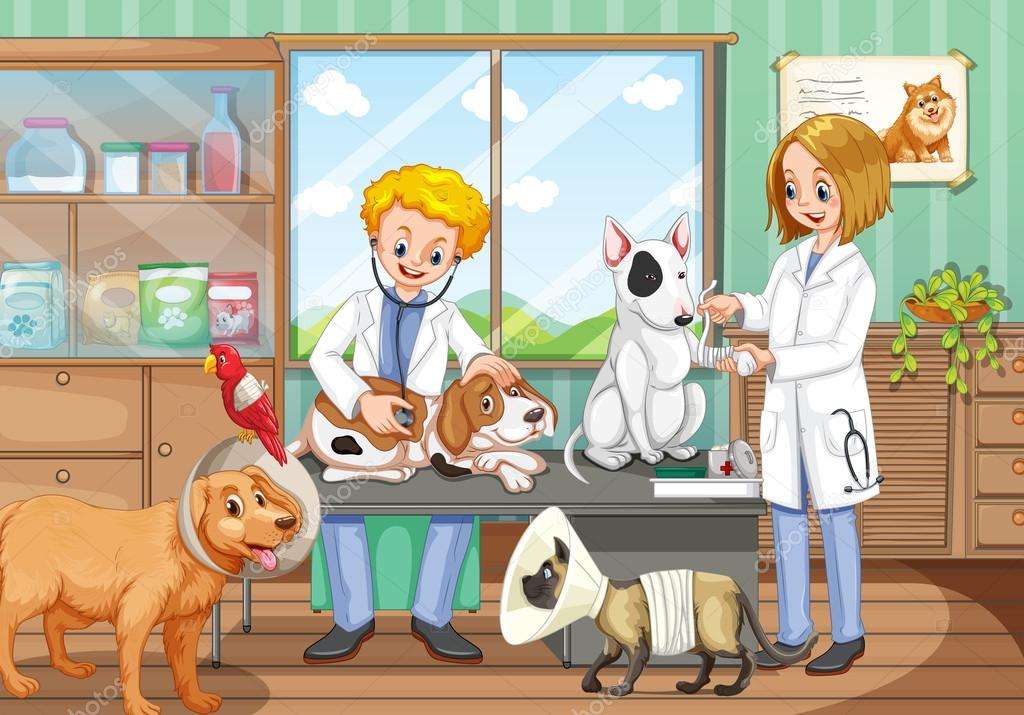 veterinario puzzle online a partir de foto