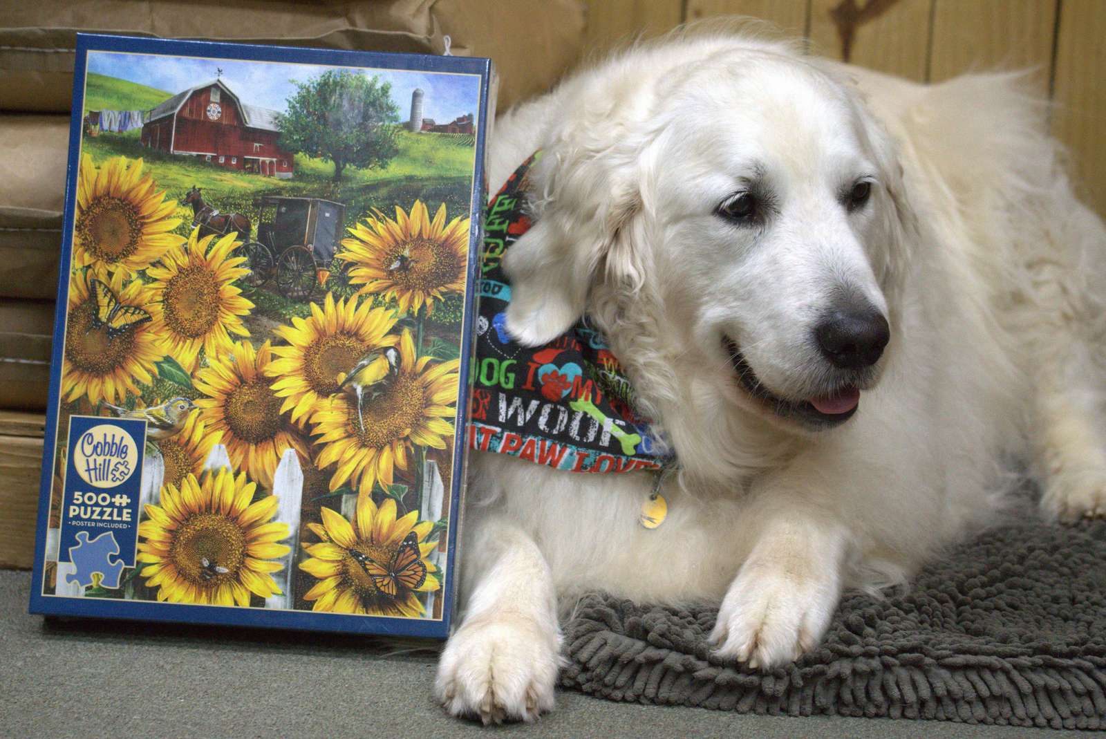 Buddy loves puzzles puzzle online from photo