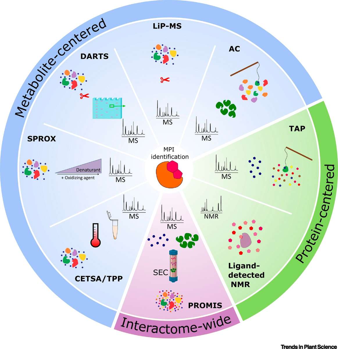 metabolity online puzzle