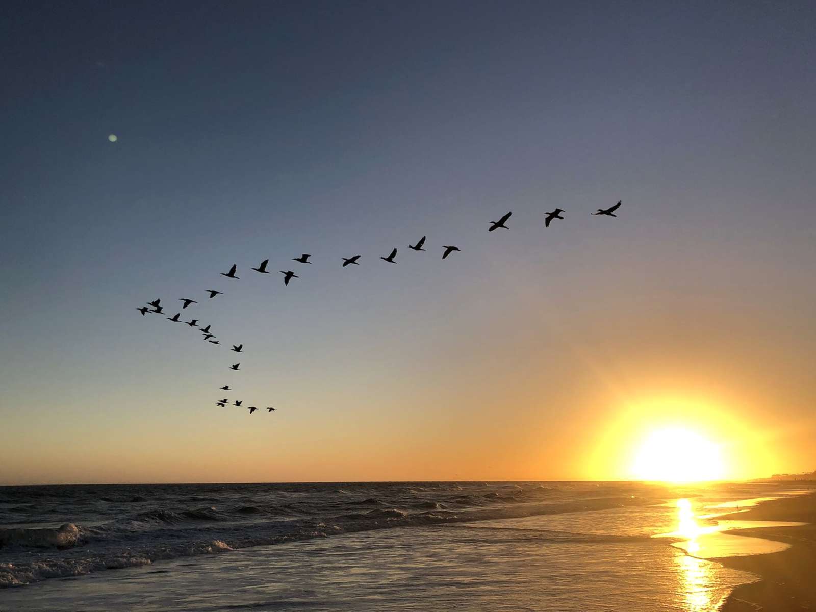 Solnedgång och flock av fåglar Pussel online