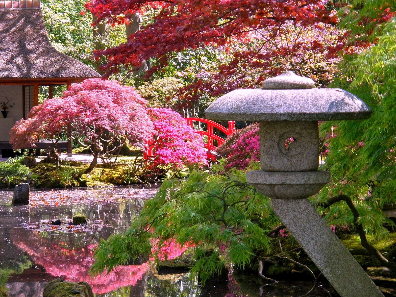 Zen Garden With Flowers puzzle online from photo
