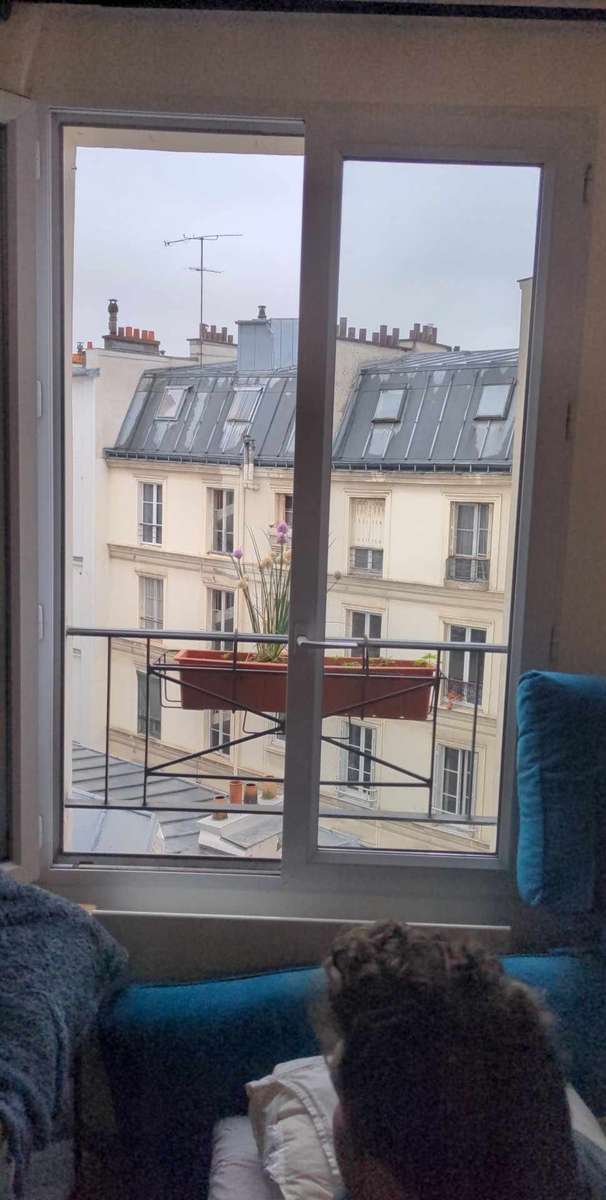 Rooftop parisiense puzzle online