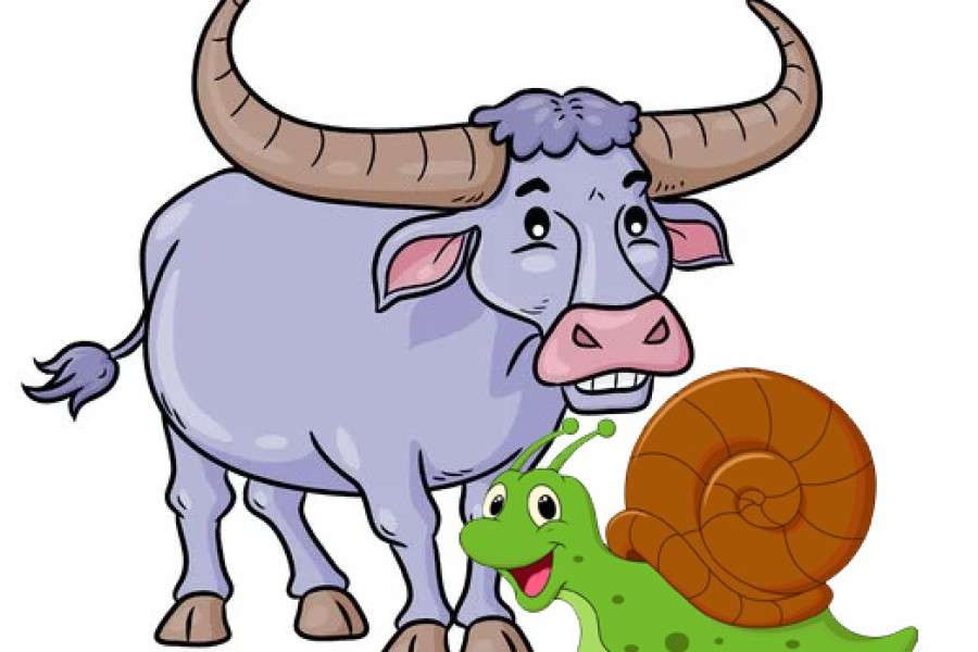 The Carabao and the Shell online puzzle