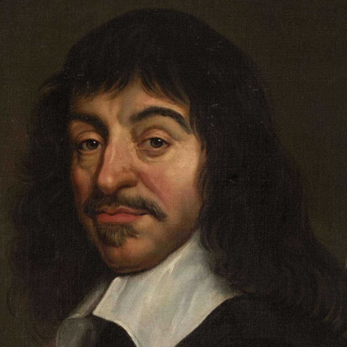 René Descartes pussel online från foto