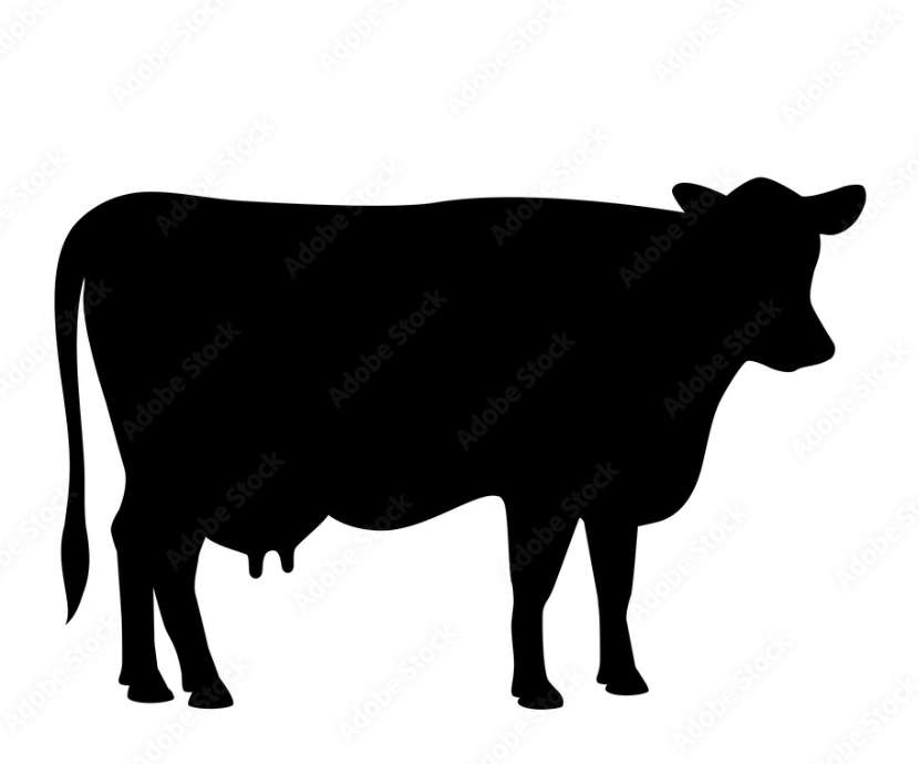 περίγραμμα αγελάδας παζλ online από φωτογραφία