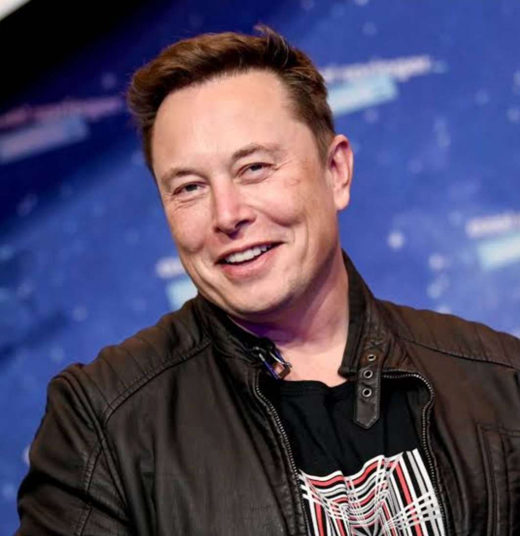 Elon musk. online puzzle