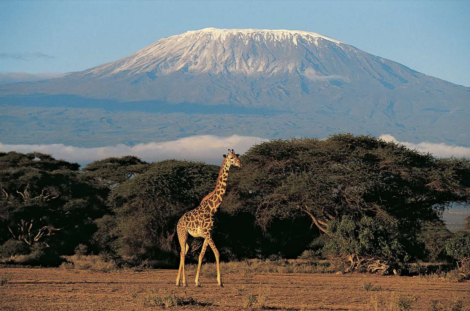 Mount Kilimanjaro, Tanzania online puzzle
