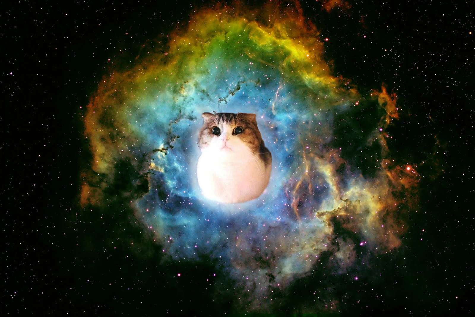 котка в звездите онлайн пъзел