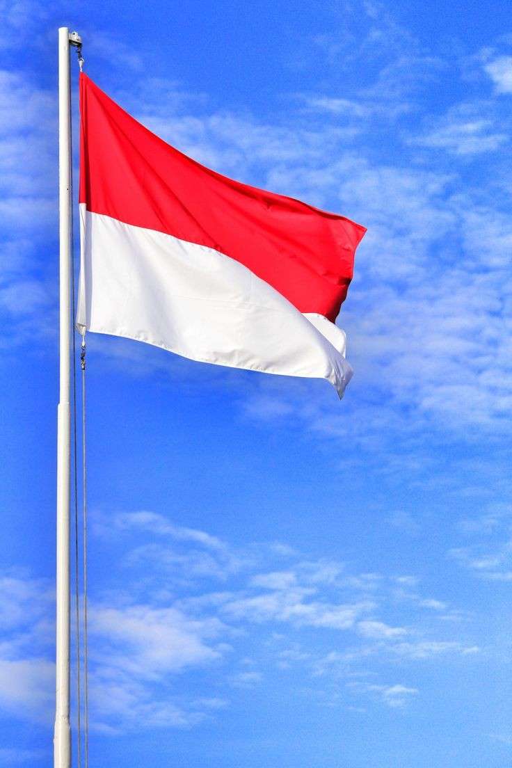 Indonesiska flaggan Pussel online