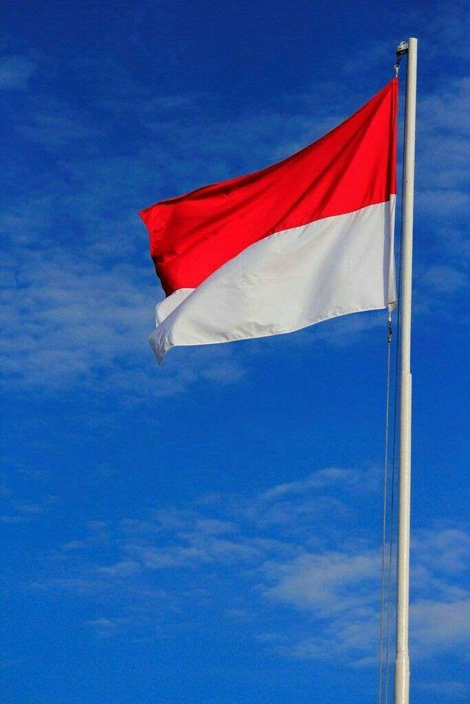 Bandera de Indonesia puzzle online a partir de foto