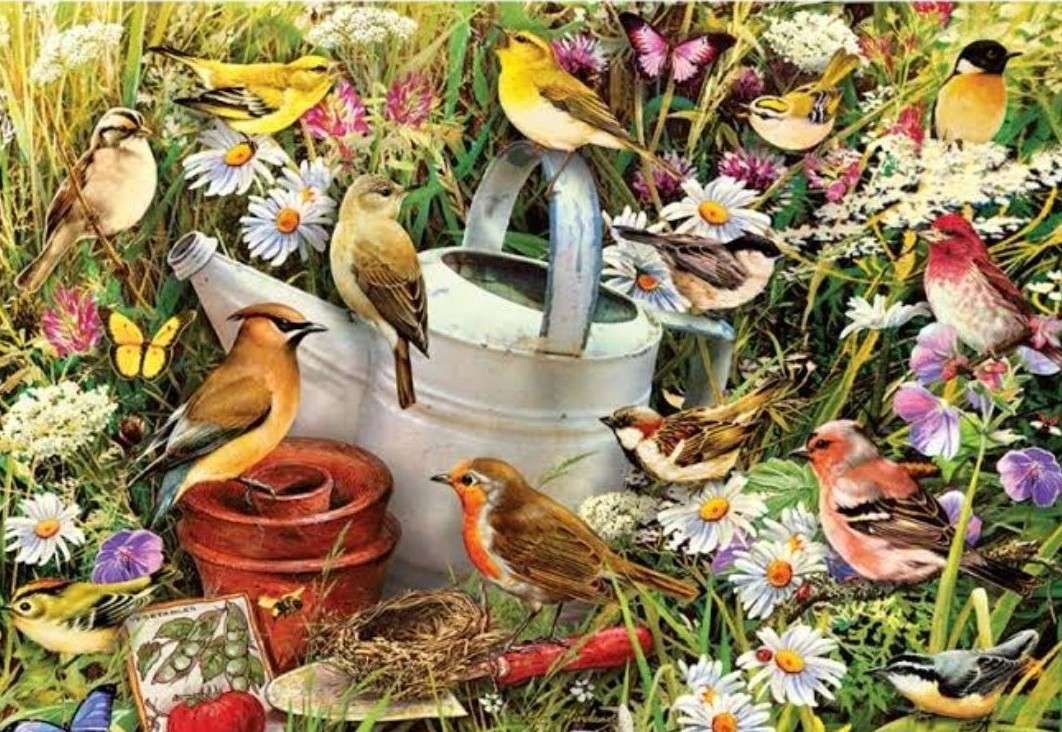 BIRDS JIGSAW puzzle online from photo