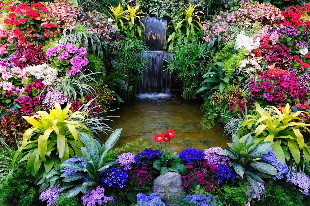 Pond Encircled By Flowering Plants online puzzle