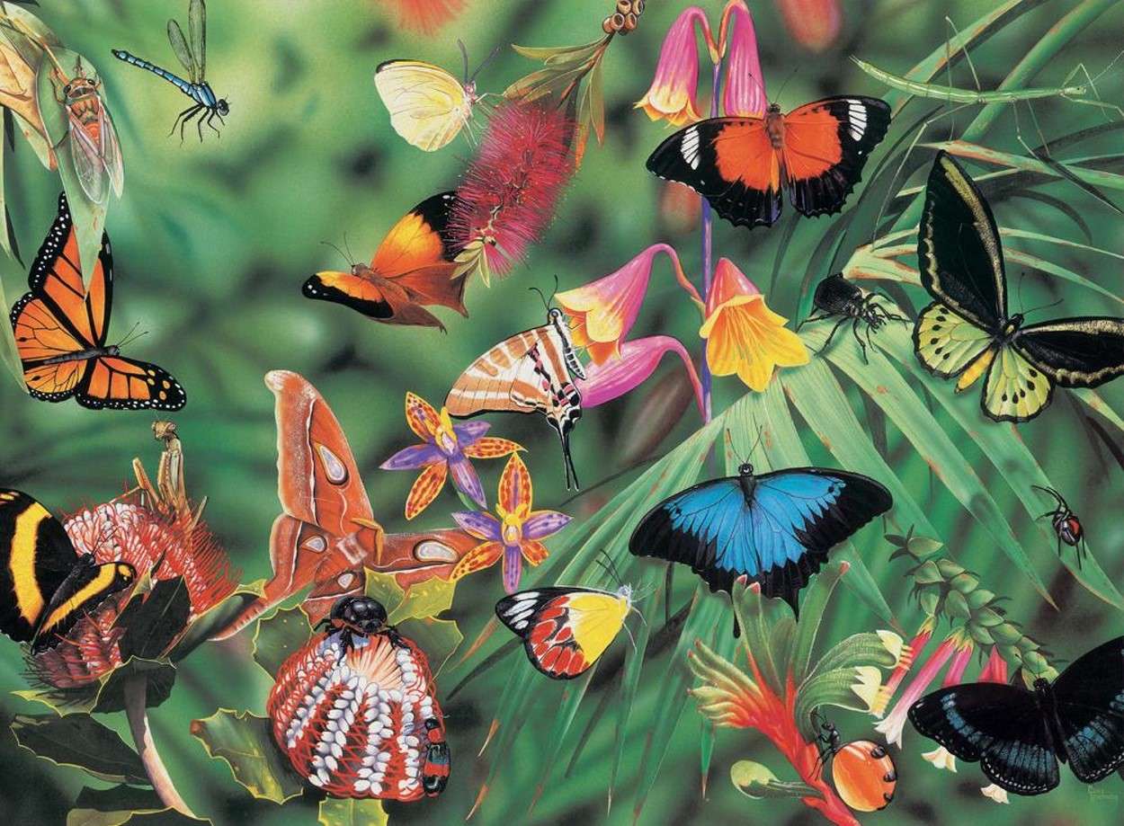borboletas da floresta tropical puzzle online