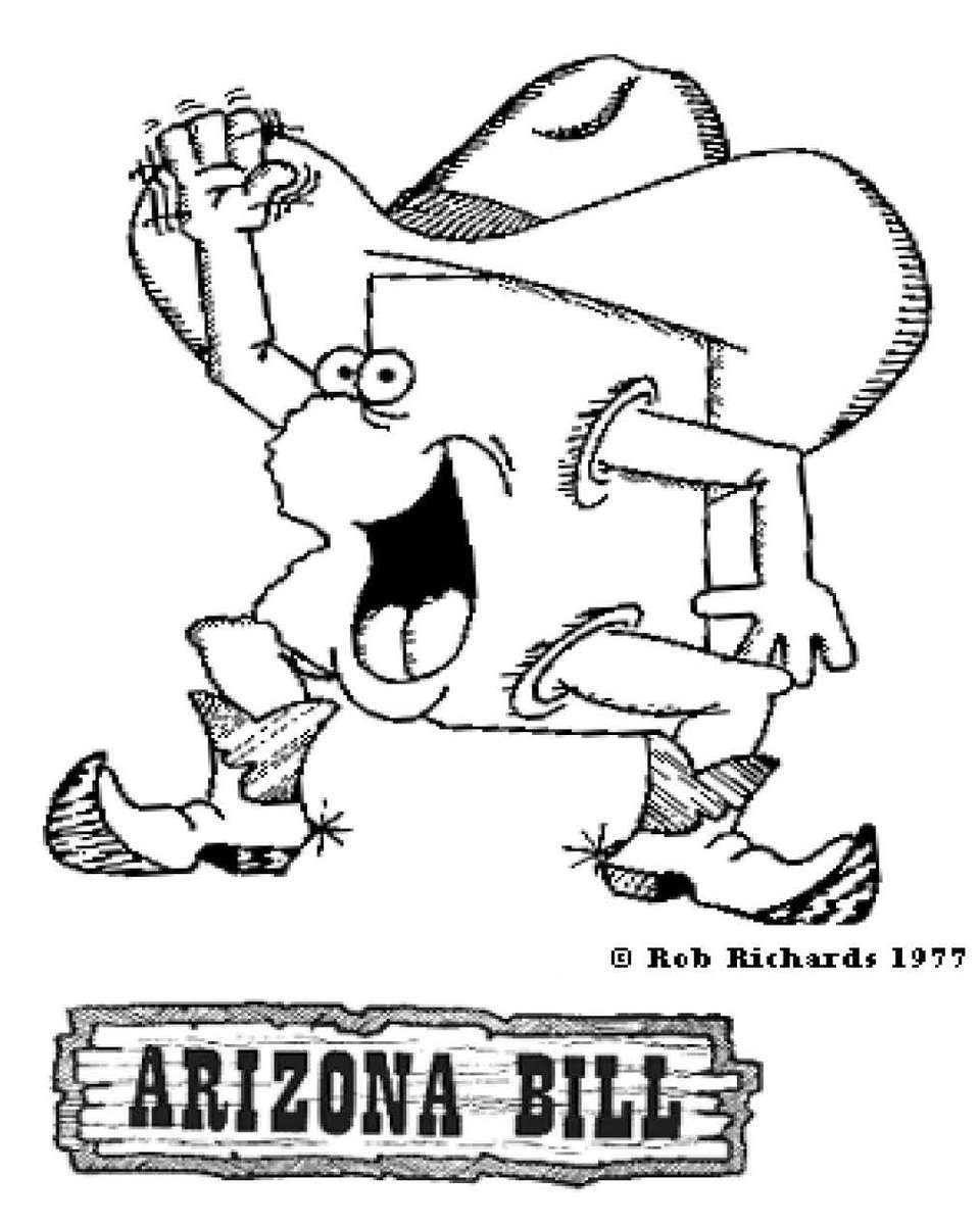 Arizona Bill Pussel online