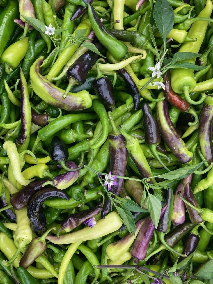 Καυτερές πιπεριές παζλ online από φωτογραφία