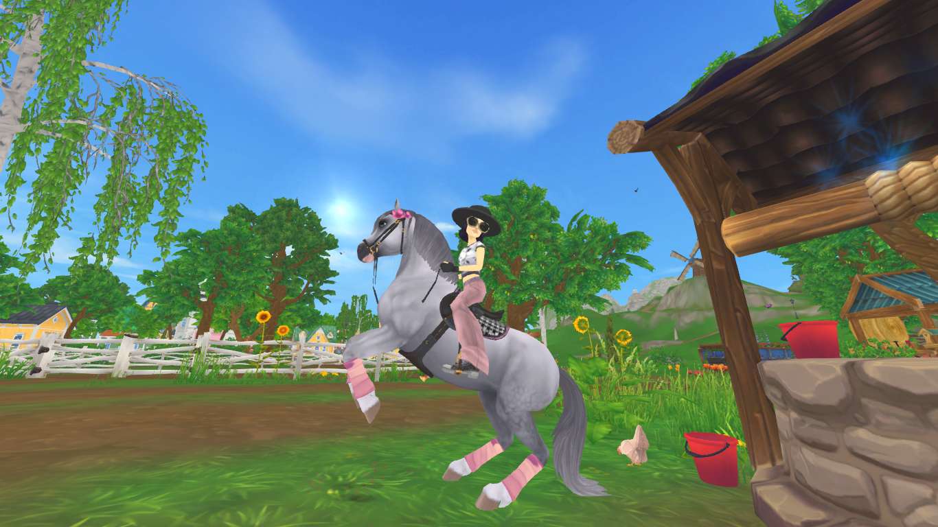 star stable online puzzle