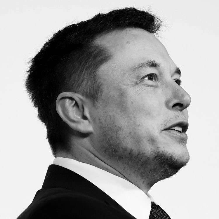 Elonmuskk online puzzel