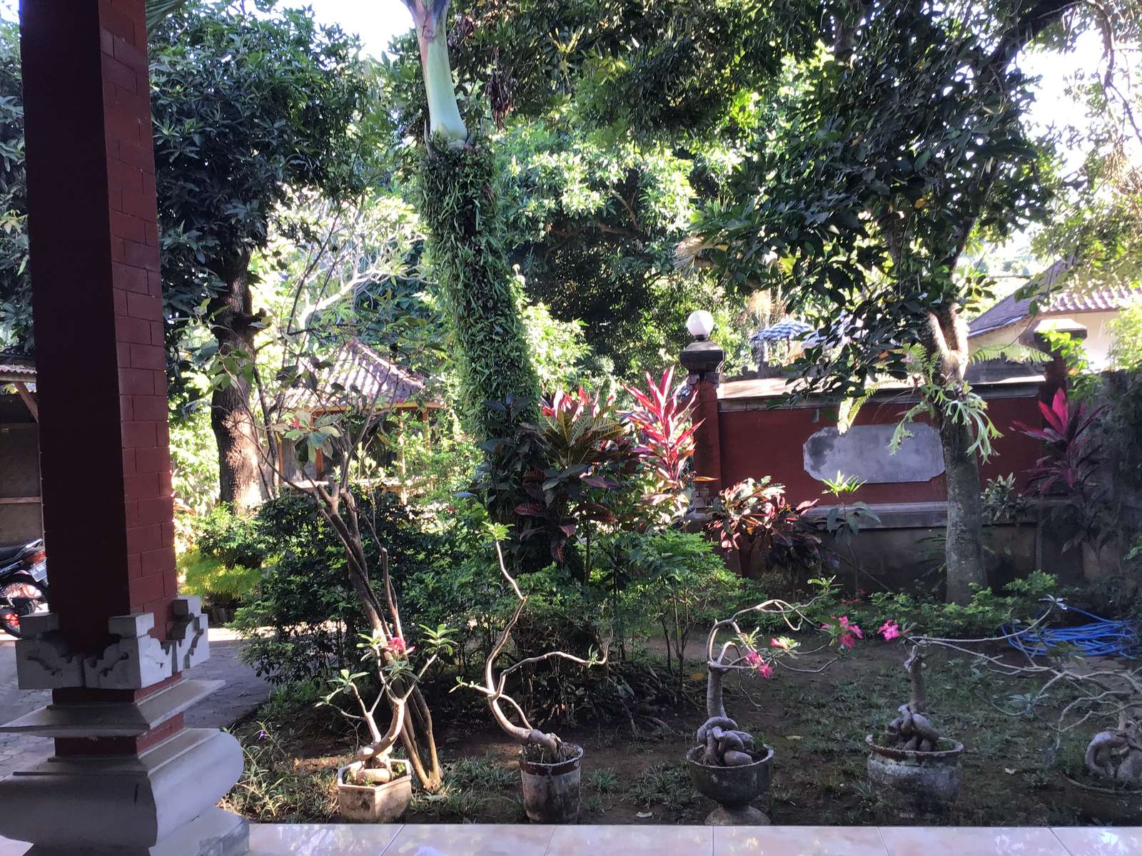 Trädgård på Bali Pussel online